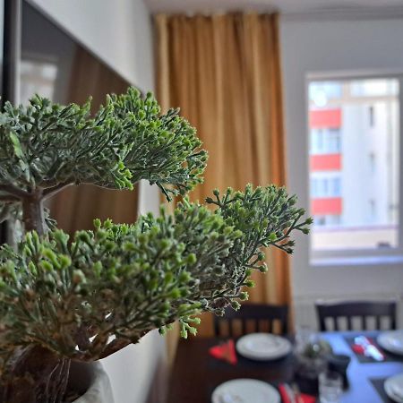 Aviliz Apartament Buşteni Exterior foto