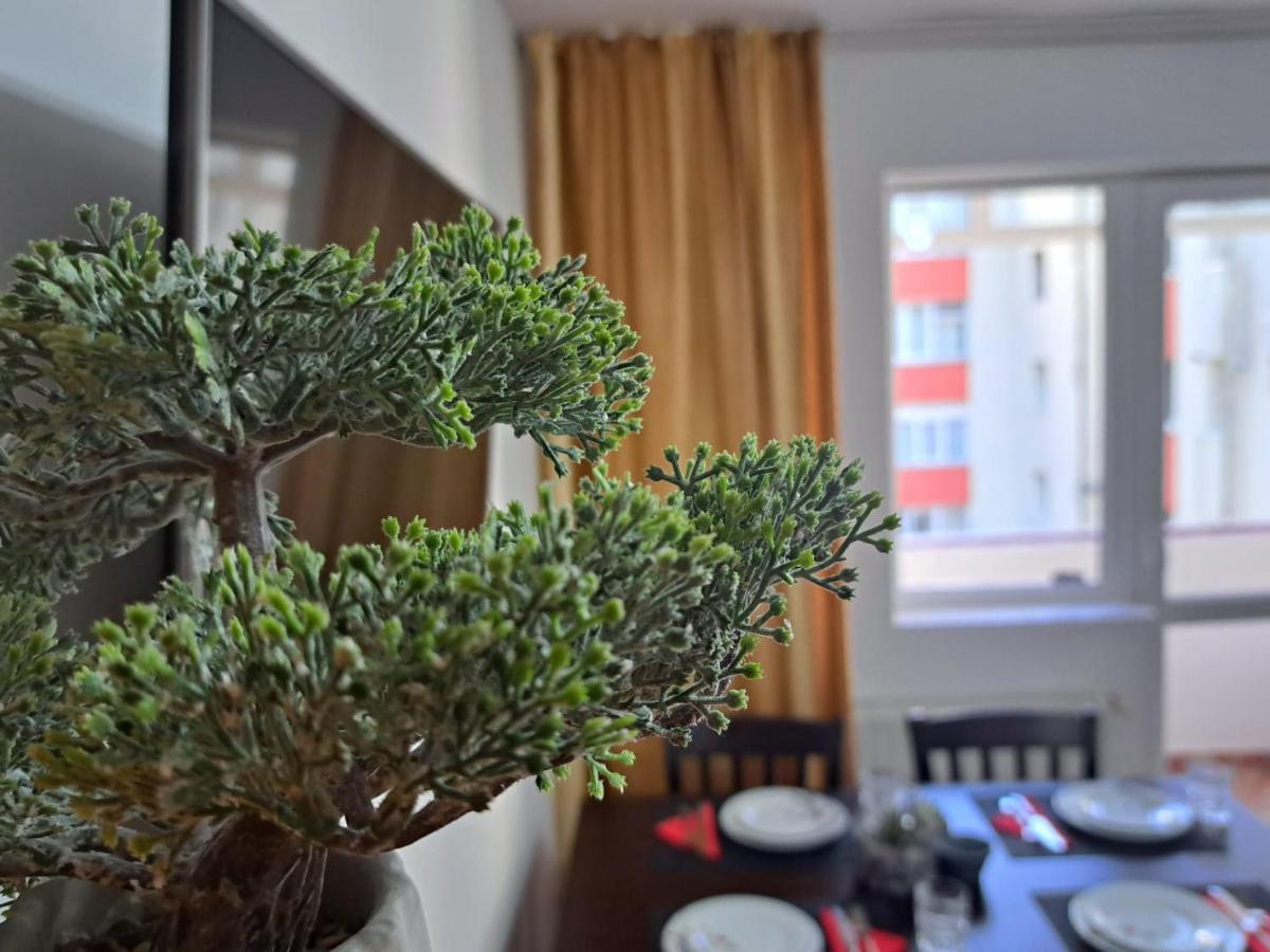 Aviliz Apartament Buşteni Exterior foto