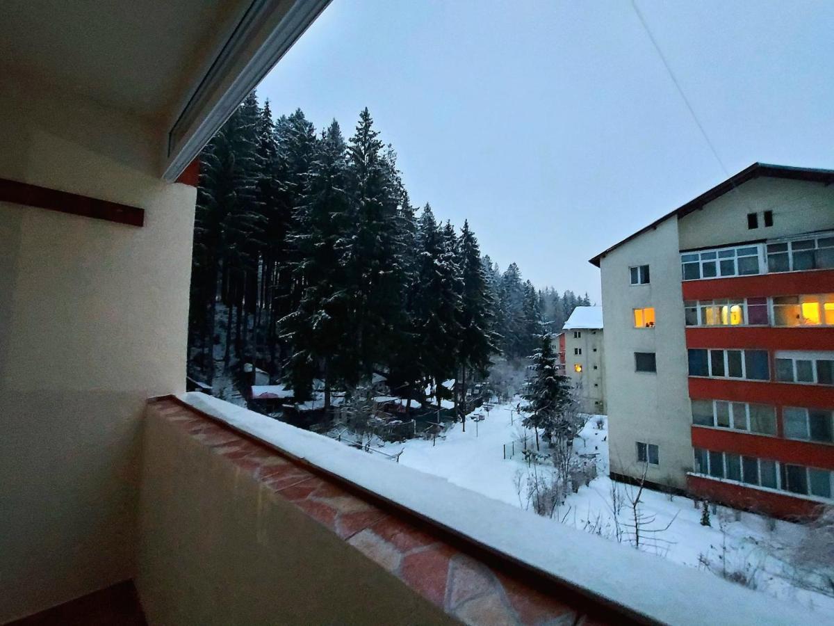 Aviliz Apartament Buşteni Exterior foto