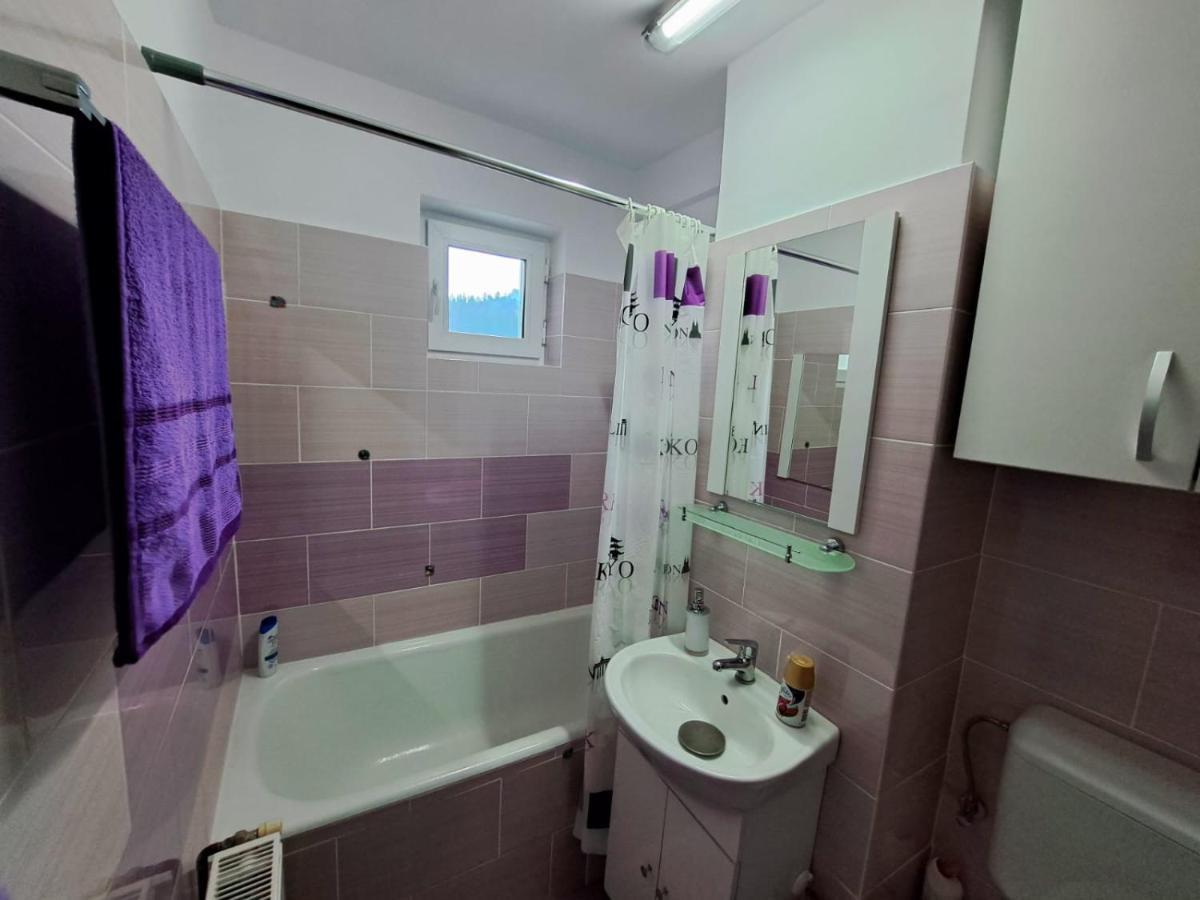 Aviliz Apartament Buşteni Exterior foto