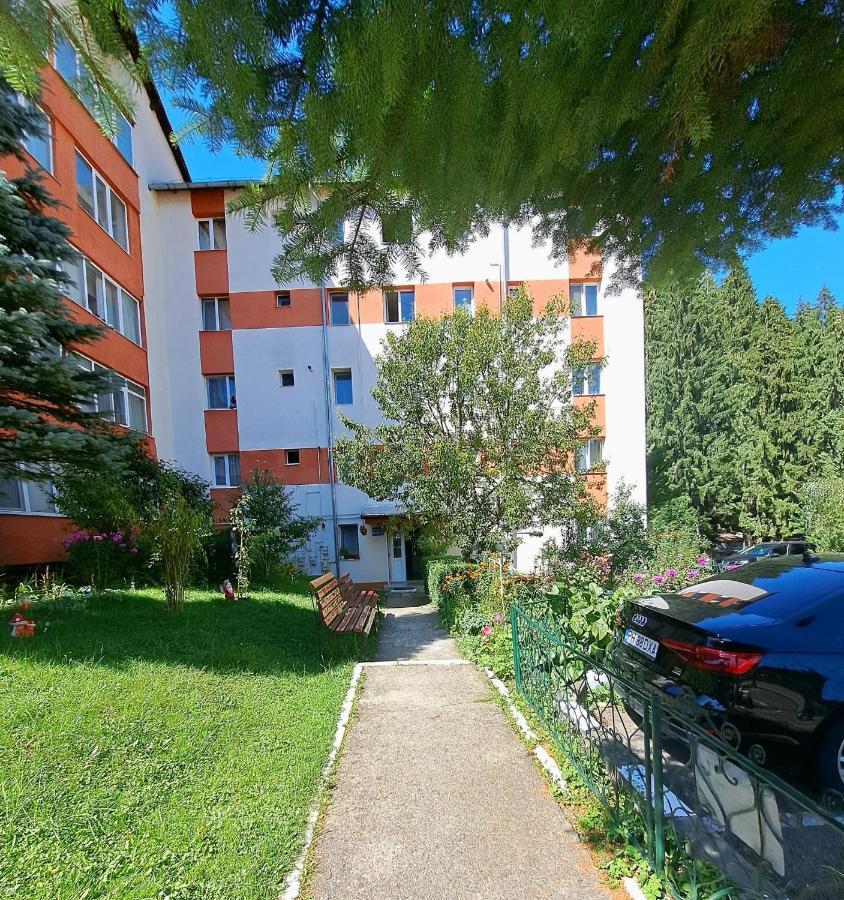 Aviliz Apartament Buşteni Exterior foto