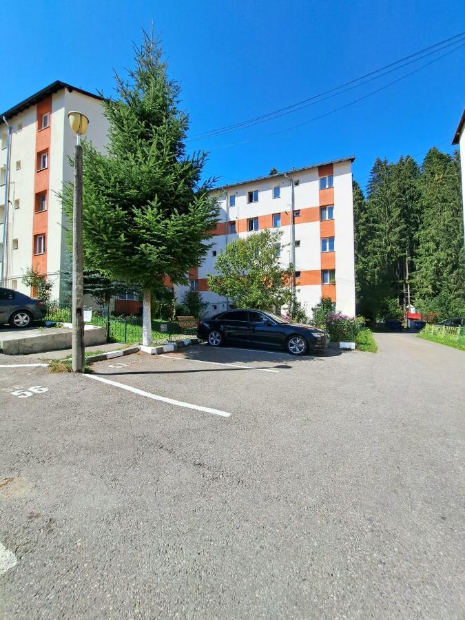 Aviliz Apartament Buşteni Exterior foto